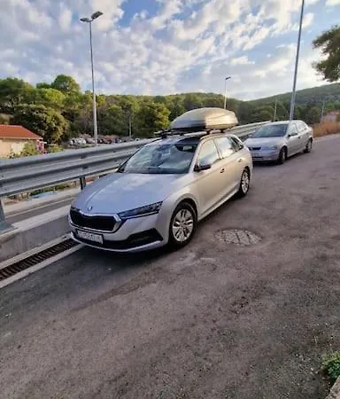 Oasis In The Apartman *