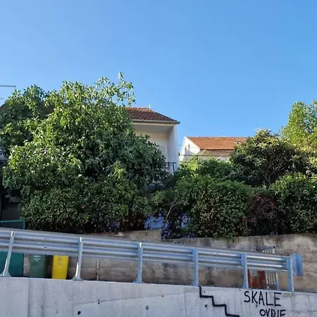 Oasis In The *
