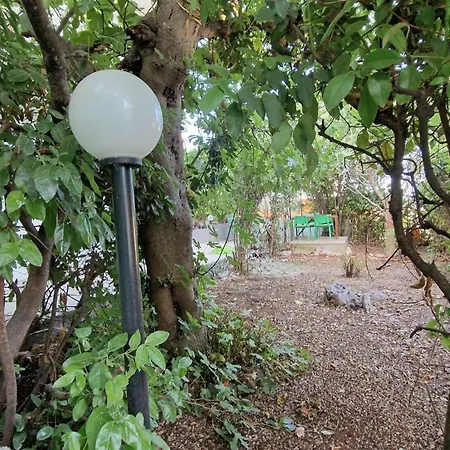 Oasis In The Apartman