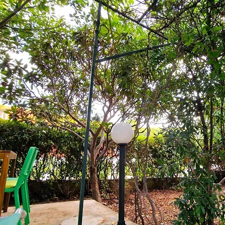 Oasis In The Apartman *