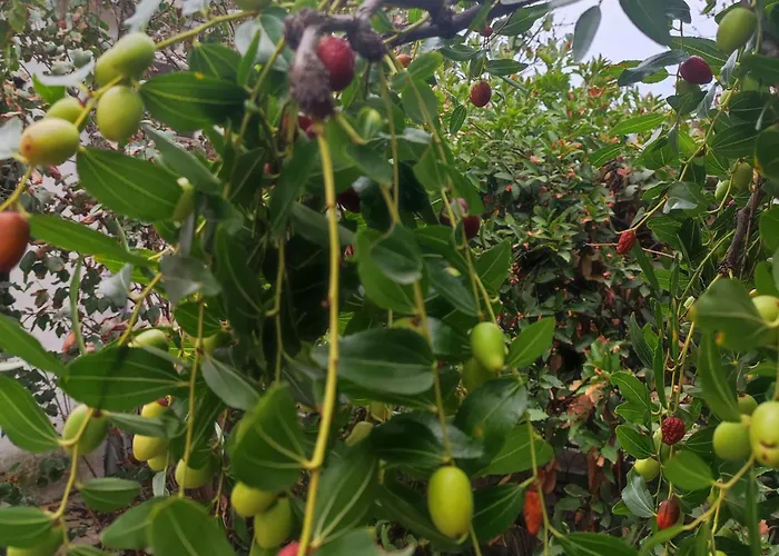 Oasis In The Appartamento